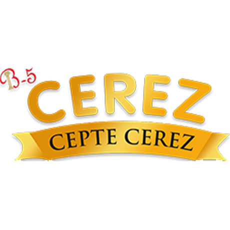 B5 Çerez